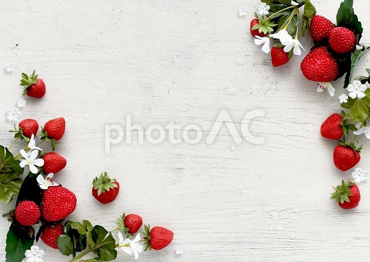 いちごのフレーム素材 いちご,果物,実の写真素材