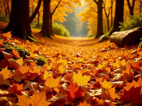 秋の紅葉の写真