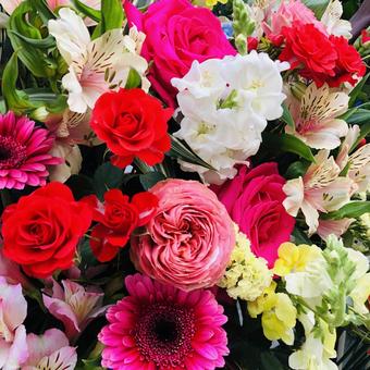 薔薇 薔薇の写真