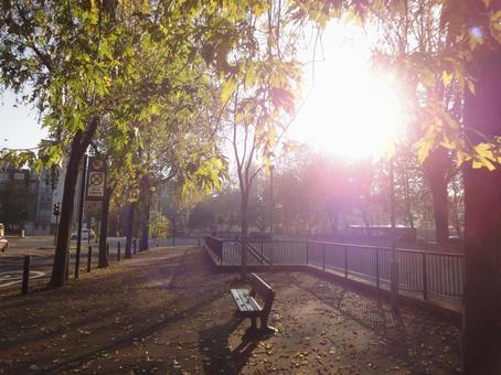 イギリス　公園　ベンチの写真