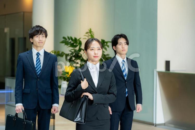 就職活動をする学生 就職活動,新卒,女性の写真素材