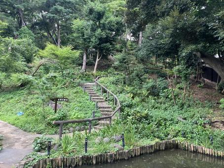 肥後細川庭園の庭園風景 肥後細川庭園の庭園風景 肥後細川庭園,肥後,細川庭園の写真素材