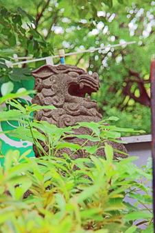 稲毛神社（川崎）の写真