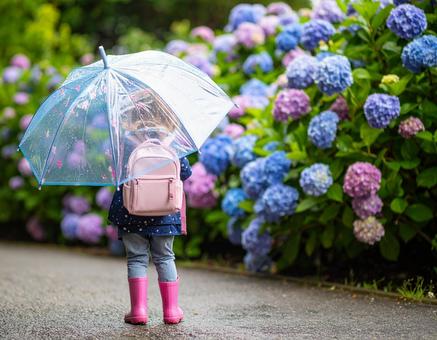 紫陽花と少女 紫陽花と少女の写真