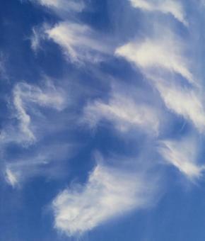 雲のダンス 雲のダンスの写真