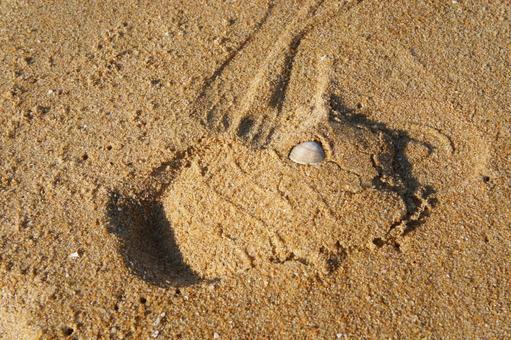 福岡県、シーサイドももち海浜公園2 風景,日本,九州の写真素材