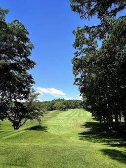 Photo, golf course, summer, blue sky, 
