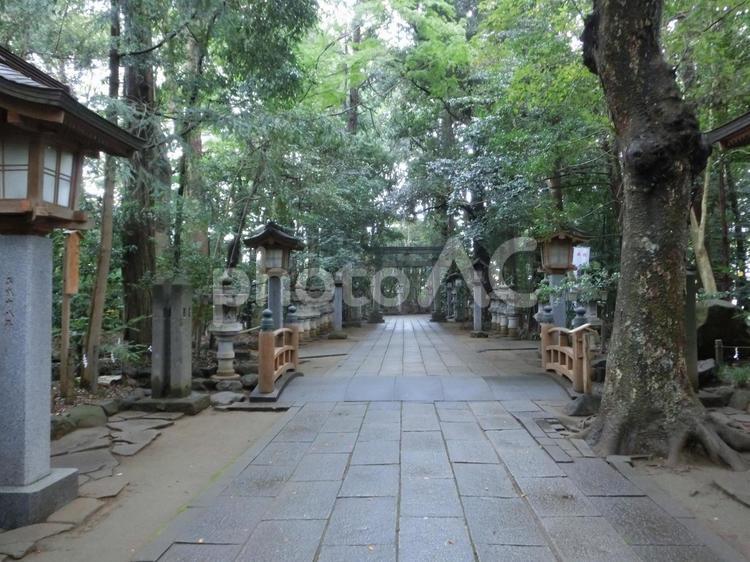 駒木諏訪神社の風景-46 駒木諏訪神社,千葉県流山市,諏訪之宮の写真素材