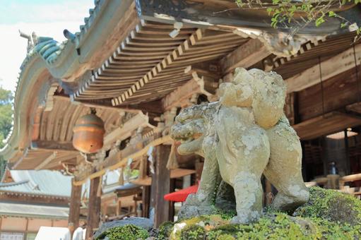 筑波山神社の狛犬_2 筑波山神社の狛犬_2の写真