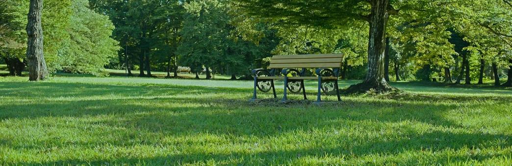 公園のベンチ バナー画像 公園のベンチ バナー画像 ベンチ,椅子,バナーの写真素材