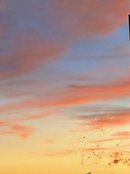 Fireworks in the summer evening sky, JPG