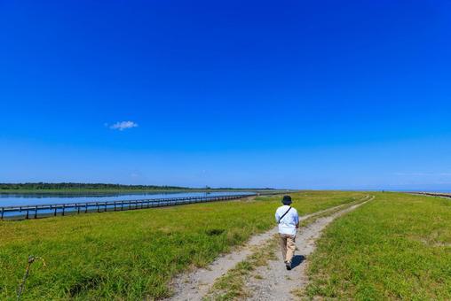 青空の下、まっすぐに伸びる道 青空の下、まっすぐに伸びる道 道,一本道,歩くの写真素材