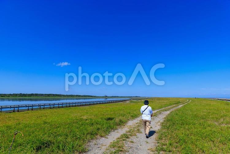 青空の下、まっすぐに伸びる道 道,一本道,歩くの写真素材