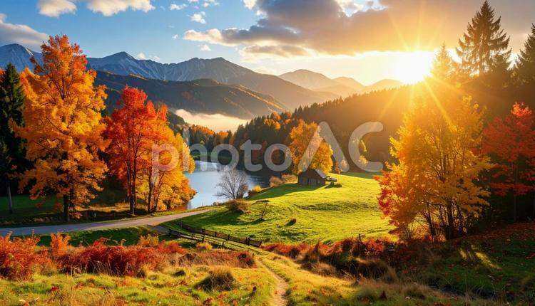 秋のイメージの風景写真 秋,風景,写真の写真素材