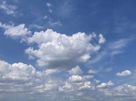 Photo, vacía, nube, verde, 