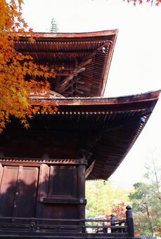 常寂光寺　多宝塔 常寂光寺,多宝塔,紅葉の写真素材