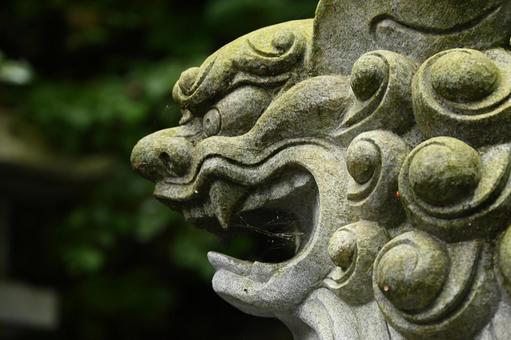 獅子 獅子の写真