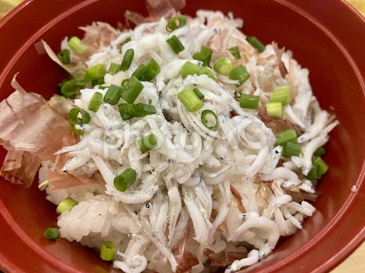 釜揚げしらす丼・クローズアップ しらす丼,釜揚げしらす,アップの写真素材