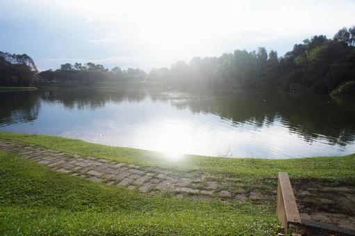 池 池,太陽,反射の写真素材