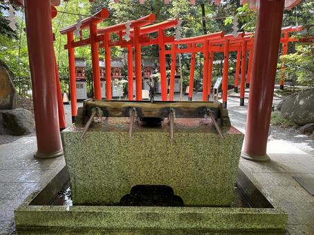 来宮神社、手水。 来宮神社、手水。の写真