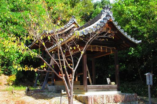 愛知県-興正寺-鎮守社 愛知県-興正寺-鎮守社 興正寺,寺,八事山の写真素材