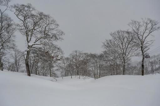 Photo, mt. tanigawa, god god flat, ski resort, 
