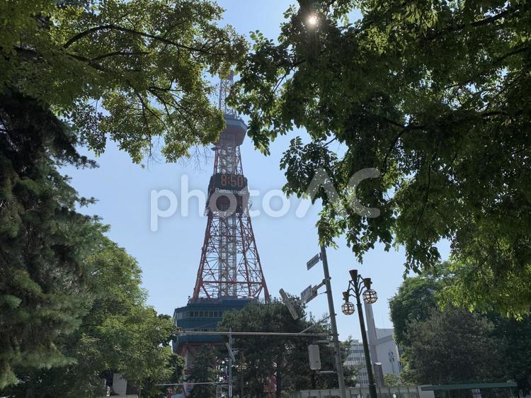 新緑が茂る7月初旬札幌大通公園西2丁目 大通公園,観光地,観光の写真素材
