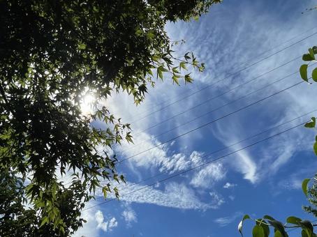 青空の写真