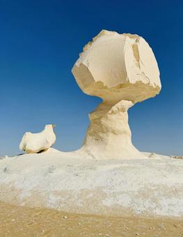 キノコとチキン白砂漠サハラ砂漠 サハラ砂漠,エジプト,きのこの写真素材