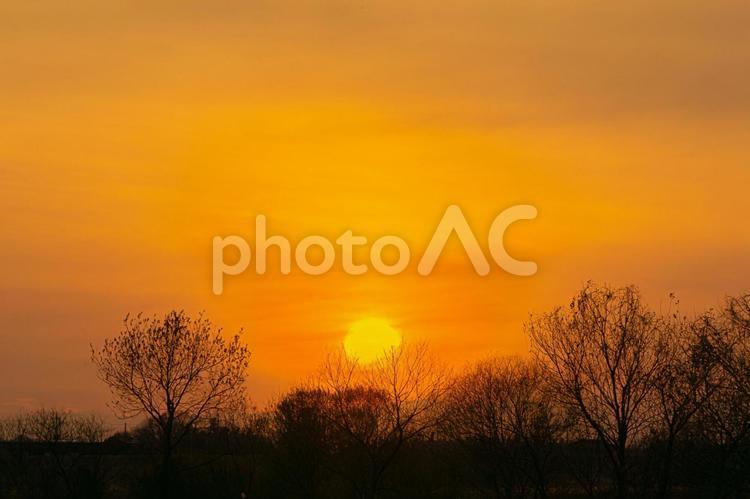 鬼怒緑地公園の夕焼け 夕日,夕焼け,夕空の写真素材