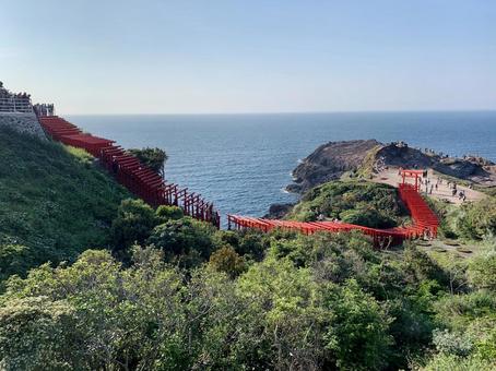 元乃隅神社4 元乃隅神社,鳥居,朱色の写真素材