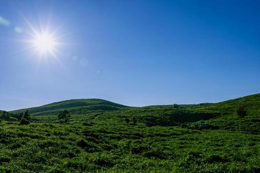 真夏の秋吉台 青空と緑の大地 真夏の秋吉台 青空と緑の大地 秋吉台,夏,真夏の写真素材