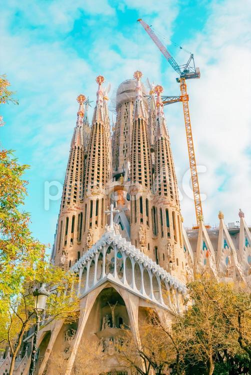 【スペイン】サクラダファミリア スペイン,バルセロナ,サクラダファミリアの写真素材