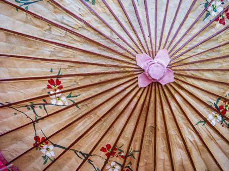 花咲く和傘の彩り 花咲く和傘の彩り 和傘,日本,伝統の写真素材