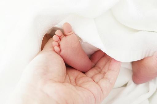 新生児の足-4 新生児の足-4 赤ちゃん,新生児,ベビーの写真素材