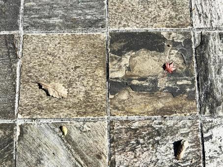 地面に落ちた枯れ葉 地面に落ちた枯れ葉 地面,枯れ葉,落ち葉の写真素材