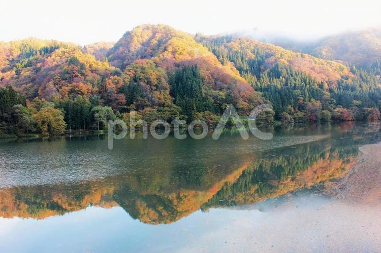 日本の原風景　只見川 只見川,川,奥会津の写真素材