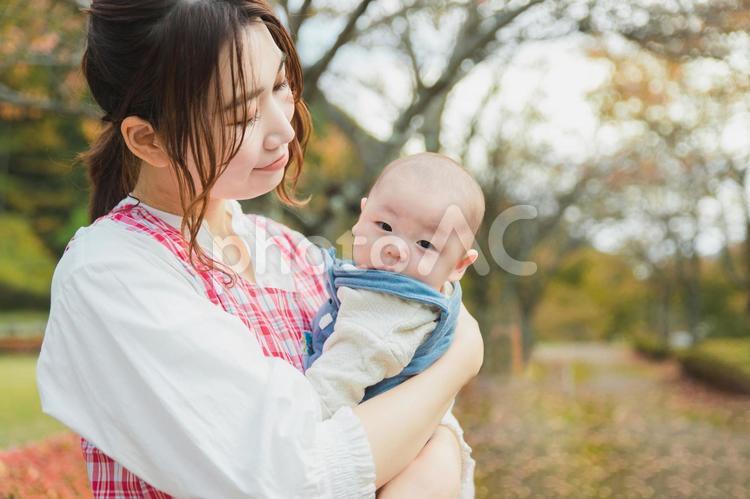 公園を散歩するベビーシッターの女性と園児 ベビーシッター,赤ちゃん,保育園の写真素材