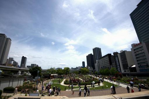 大阪中之島のバラ園 大阪中之島のバラ園の写真