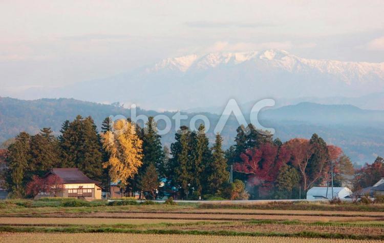 飯豊山をバックに田園風景 飯豊山,田園風景,朝焼けの写真素材
