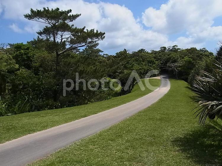 きれいな道　一本道　みち　道　背景 日本,沖縄県,道の写真素材
