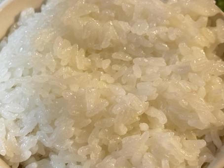Photo, rice, meter, lunch, 