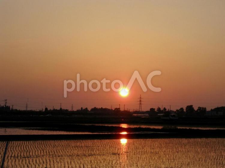 夕焼け 田んぼ 夕焼け,夕日,田んぼの写真素材