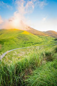 大分県　由布シルキーロードと由布岳の絶景 由布シルキーロード,由布岳,湯布院の写真素材