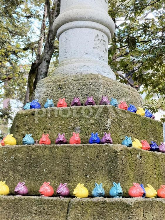 福うさぎの奉納（石川県　菟橋神社）3 菟橋神社,神社,お諏訪さんの写真素材