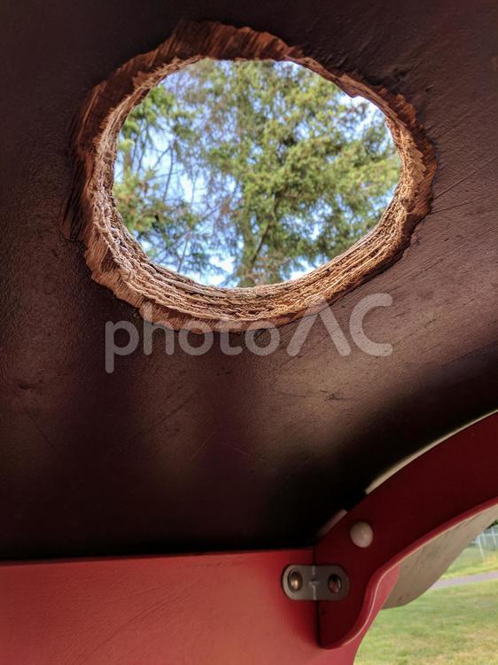穴から見える木 おもちゃ,アメリカ,パークの写真素材