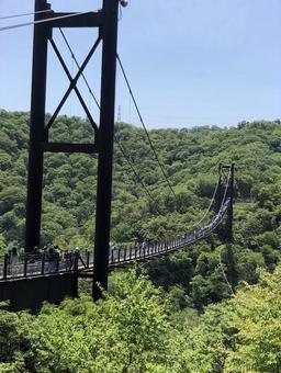 吊り橋 吊り橋の写真