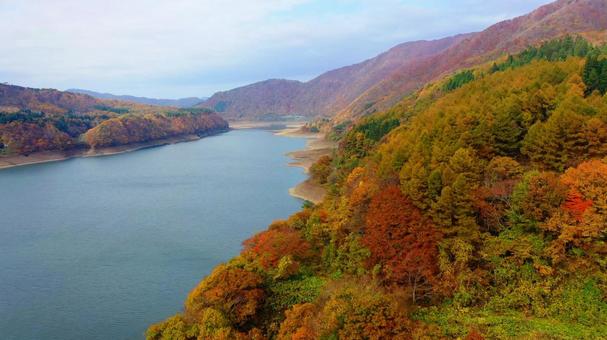 紅葉で錦のように彩られる錦秋湖 岩手県 紅葉で錦のように彩られる錦秋湖 岩手県の写真