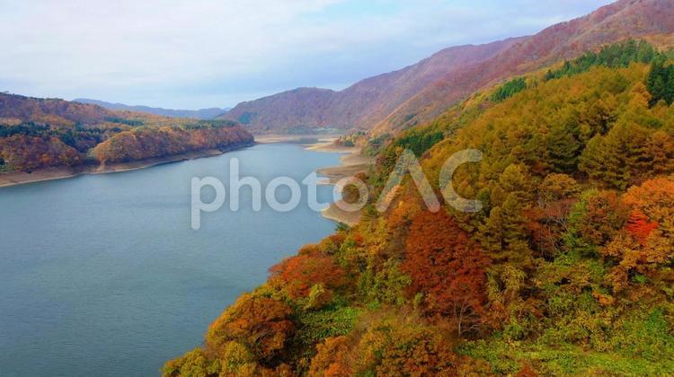 紅葉で錦のように彩られる錦秋湖　岩手県 錦秋湖,湯田ダム,岩手県の写真素材