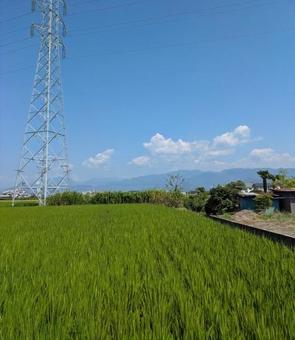 田んぼ 田んぼの写真